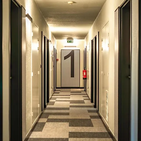 Ibis Guimarães
