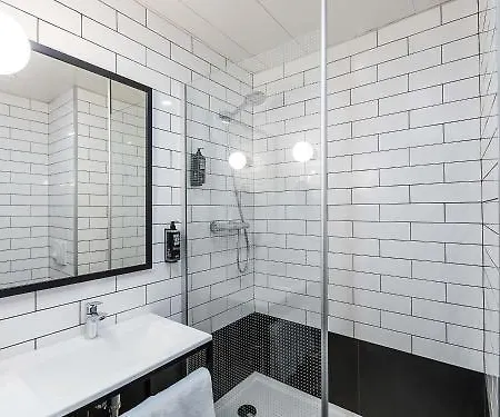 Ibis Guimarães